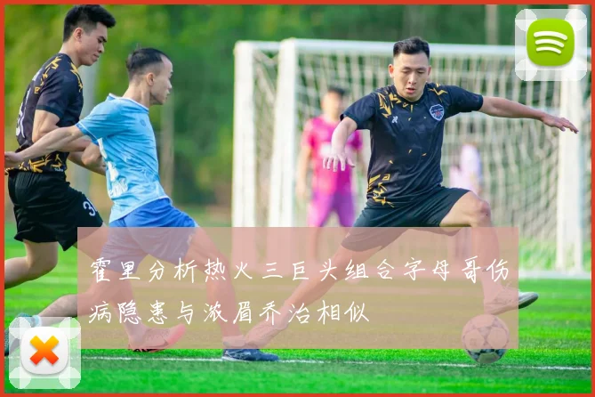 霍里分析热火三巨头组合字母哥伤病隐患与浓眉乔治相似